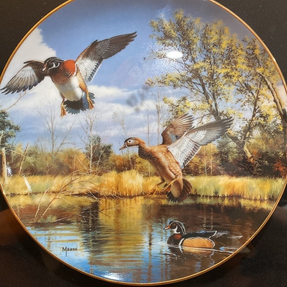 Limited Edition, Framed Collector Plate, by David Masss… Settling In - Picture 2 of 9